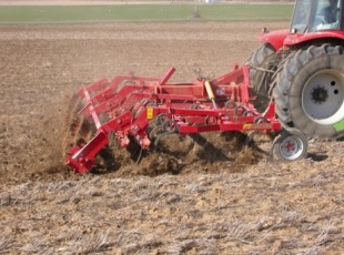 culti_4m70_822946687