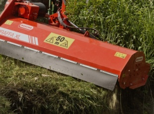 giraffa_xl_dx_210_si