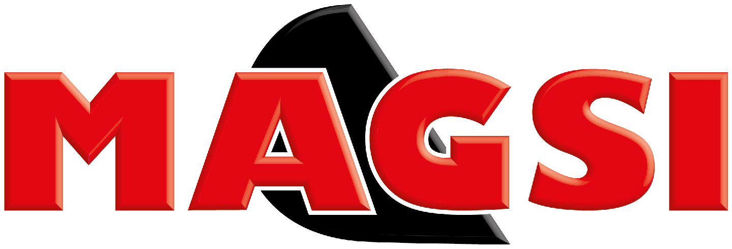 logo magsi